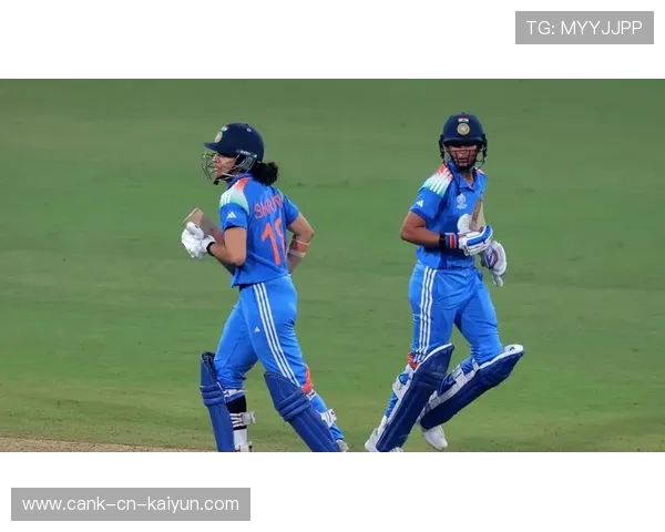 板球世界杯：团队协作引领胜利，板球国际赛事